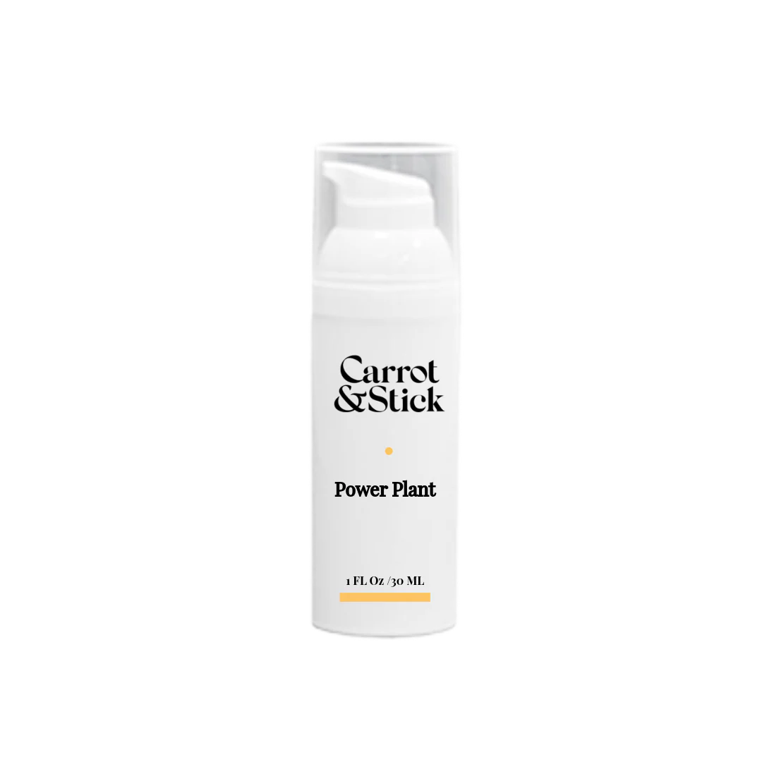 Power Plant